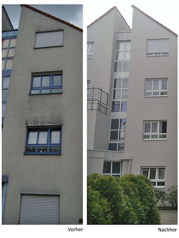 Fassadensanierung3