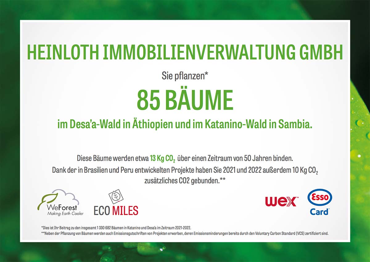 Die heinloth-Immobilienverwaltung GmbH nimmt mit einem Anteil von 85 Bäumen an der Pfanzaktion im Desaá-Wald in Äthiopien und im Katanino-Wald in Sambia teil.